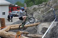 enfin un peu de bois parmis tous ces rochers !