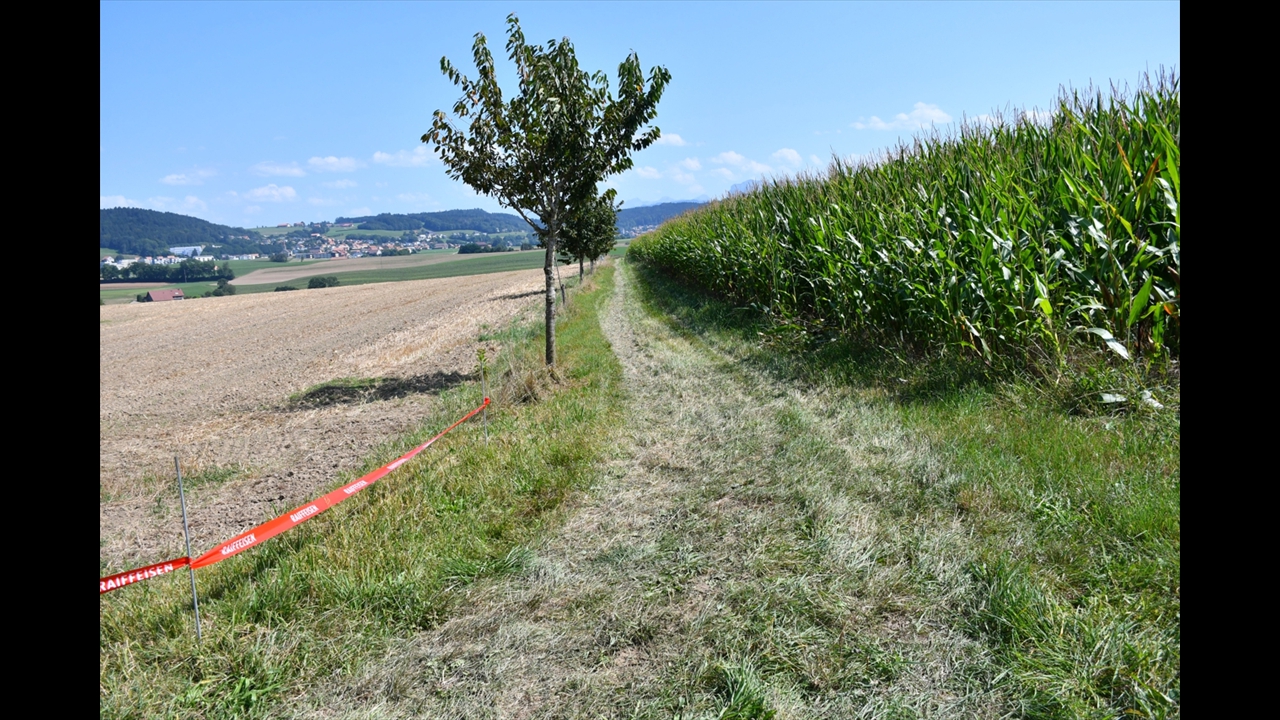 Trial-Days_24-aout-2024_6991_web