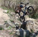 Arthur s'est mis &agrave; l'aise... il fait tr&egrave;s chaud pour un mois d'avril !  (photo: Ren&eacute;)