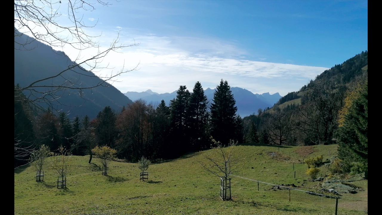 2024-11-09_sortie-chalet-Blaise_05_web